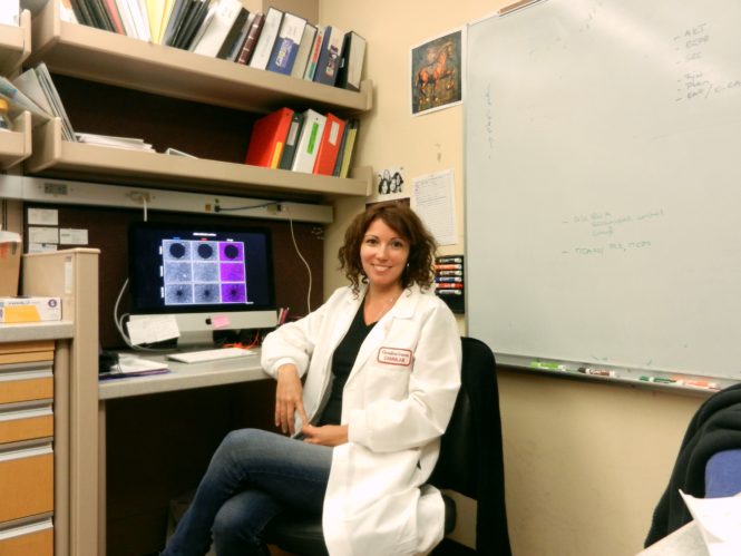 Investigación en cáncer