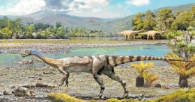 Kaikaifilu hervei dinosaurio