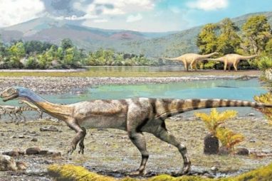 Kaikaifilu hervei dinosaurio